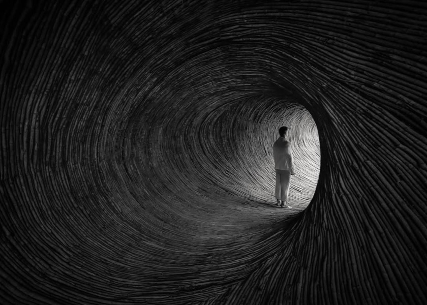 A lone figure at the far end of a black-and-white tunnel of woven vines